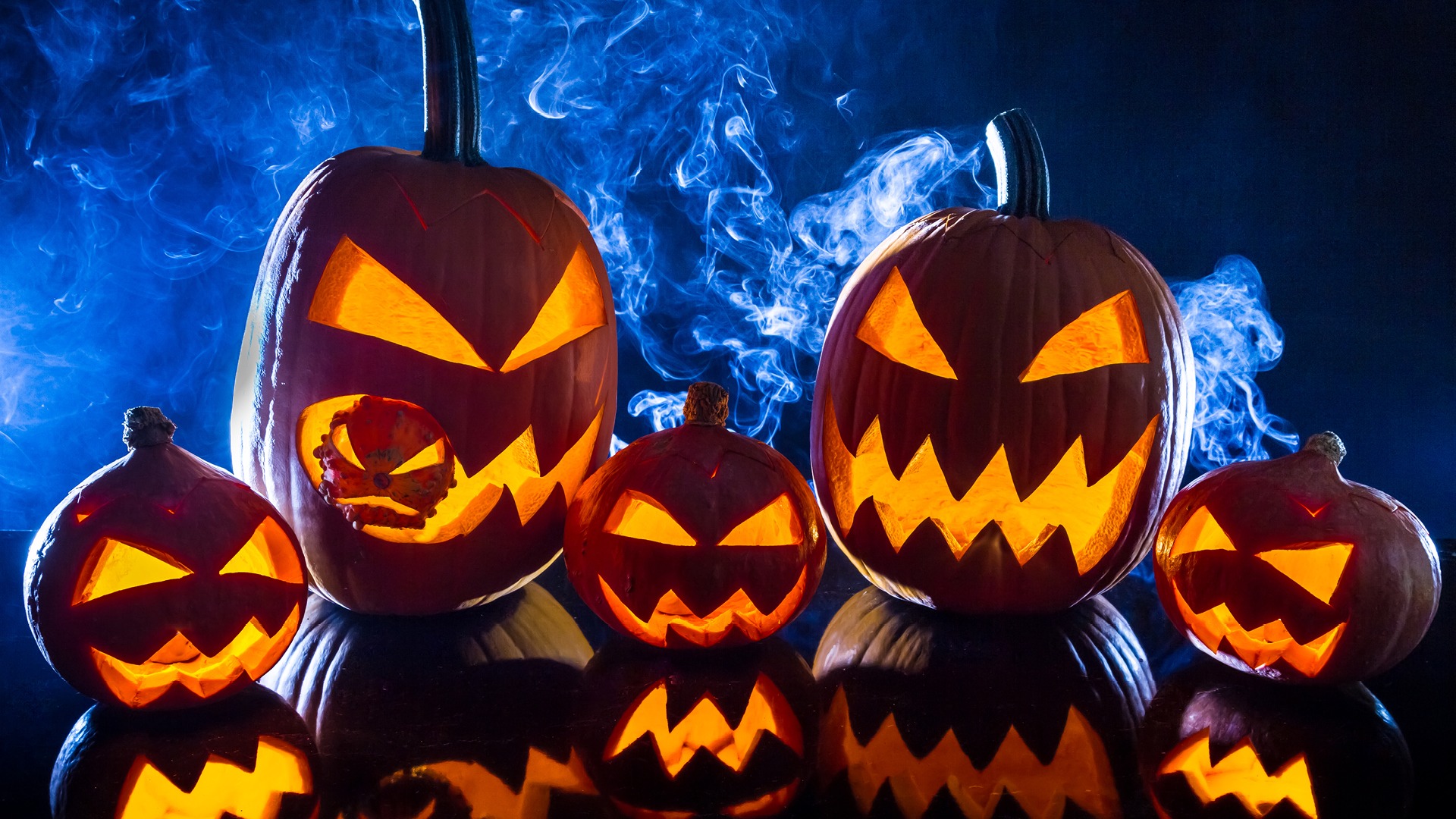 pumpkins on blue and black background